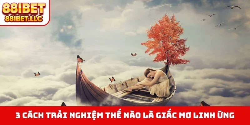 Thế Nào Là Giấc Mơ Linh Ứng - Giải Mã Điềm Báo Chính Xác 4 3 cách trải nghiệm thế nào là giấc mơ linh ứng