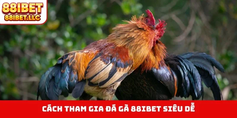 Đá Gà 88ibet 3 Cách tham gia đá gà 88IBET siêu dễ